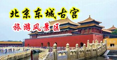 男生的小鸡鸡插入女生的腚眼软件下载中国北京-东城古宫旅游风景区